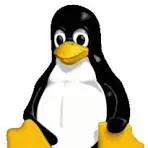 linux